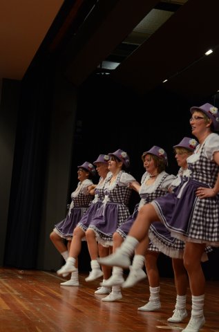 umzug simmern_140301_vb_346